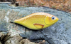 Jerk Lost Lures Ferox 10 cm - tonący - F21 - Crucian Gold