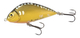 Karp