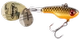 Dark and Dirty Roach