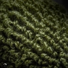 Skarpety Geoff Anderson WizWool HeavyWeight | Green | M / 41-43