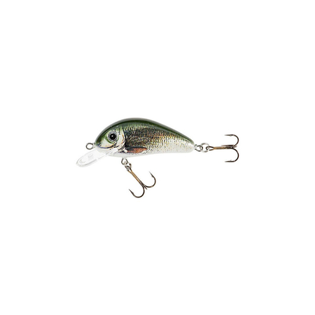 .Wobler Jaxon Holo Select Golbat 3,5cm | KN | pływający