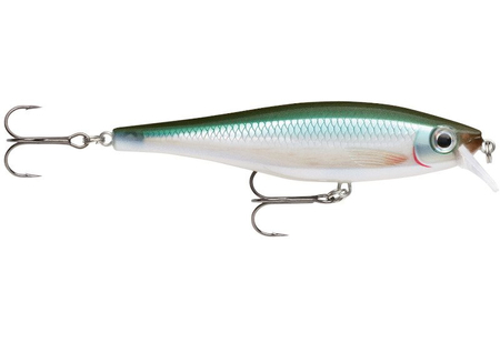 Wobler Rapala BX Minnow 10cm | BBH