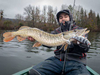Guma Fox Rage Replicant Wobble 14cm | 55g | Zebra UV