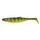 Yellow Perch \ 17