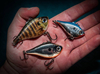 Cykada Rapala Rippin Rap 5cm | HLW