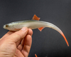 Guma Angry Lures Bleak V-Tail 20cm | NOO