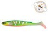 Guma FishUp RAM Shad 20,0cm | 8" | #351 Silver Tiger