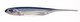 Problue/Silver #04