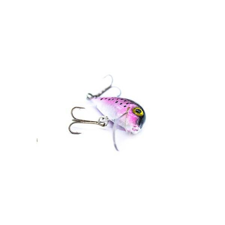 Wobler Engima Baits Brisk 4cm | Tęczak | pływający