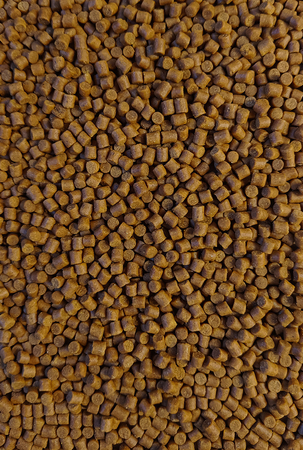 Pellet Feeder Bait 4mm | Orzech Tygrysi