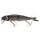 Herring