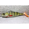 Guma SEWRO CUSTOM BAIT Okoń 18cm