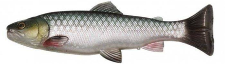 .Guma SAVAGE GEAR 3D Craft Trout Pulsetail 20cm 104g Green Silver