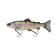 Clear Rainbow Trout
