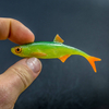 Guma Angry Lures Bleak F-Tail 10cm | GYO