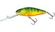 Hot Perch