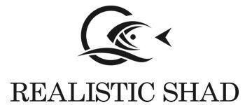 Guma REALISTIC SHAD Kiełb Jaskółka 12cm KJ12-046