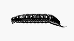 Przynęta Libra Lures Goliath 3cm | 040 - Black | brak zapachu | 15 szt.