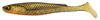 Guma FishUp RAM Shad 20,0cm | 8" | #358 Golden Shiner