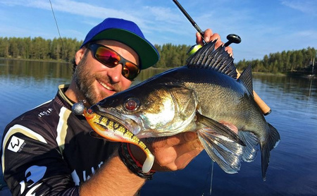 Guma Westin ShadTeez High 9cm | Bling Perch