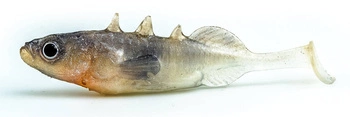 Przynęta ANGRY LURES Stickleback - 6cm - N