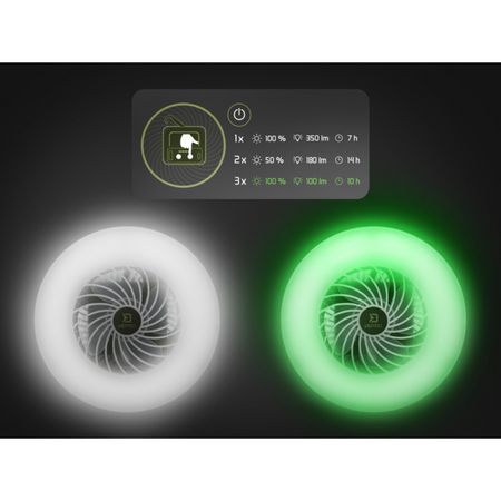 Wentylator z lampą Delphin Ventix