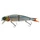 Roach