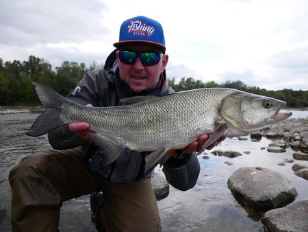 Wobler Wob-Art Ukleja XL LL 8,5cm | tonący | Ukleja