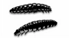 Przynęta Libra Lures Larva 4.5cm, 040 - black- 8szt (zapach serowy)