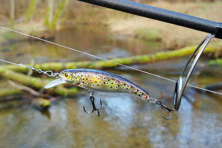 Wobler Salmo Slick Stick 6cm | Holographic Brownie | pływający