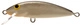 SP