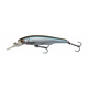 Roach