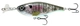 Bluegill