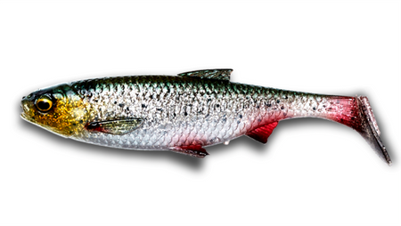 Guma Savage Gear 3D River Roach 8cm | Green Silver