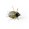 Wobler Imago Lures Maybug 3cm Surface Exclusive - pływający - BK