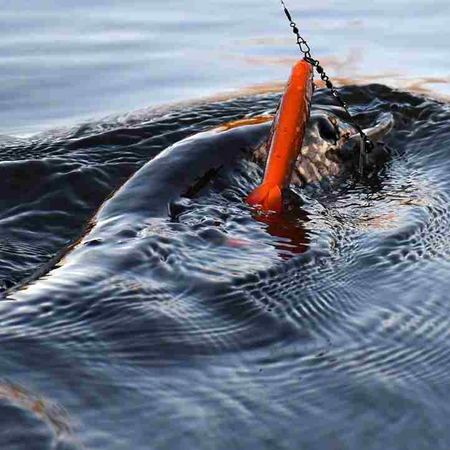 .Guma Savage Gear 3D Whitefish Shad 23cm | Green Silver