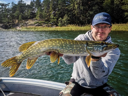 Guma Savage Gear Real Eel 20cm | Green/ Yellow/ GLITTER