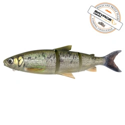 Przynęta Savage Gear 3D LT Whitefish 22cm | AYU