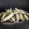 Guma Angry Lures Bleak V-Tail 20cm | WGY