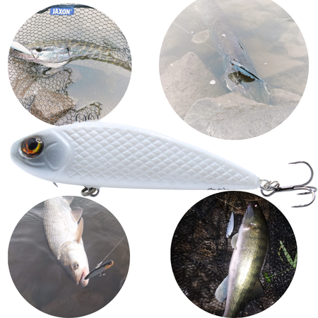 Wobler Engima Baits Cykada 9cm | Perłowa | tonący