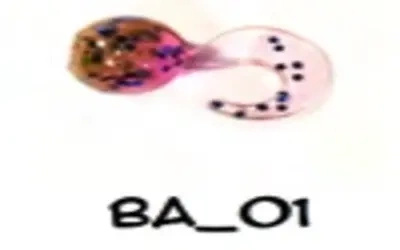 Guma Bratko Baits Bąbel 2cm | 01 | 5 szt.