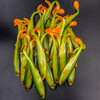 Guma Angry Lures Bleak v2 15cm | GYO