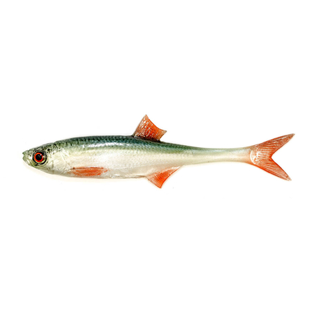 Guma Angry Lures Bleak F-Tail 15cm | NOO