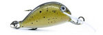 Wobler Engima Baits Cheerfish SDR 3cm | Złoty | pływający