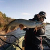 .Wobler NAYS MD MX 110 SR | 11cm | 15.2g | 0-1m | tonący | S-10