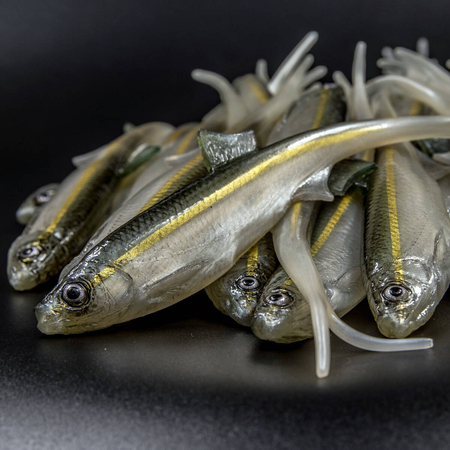 Guma Angry Lures Bleak V-Tail 20cm | WGY