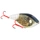 Eaten Pike