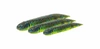 Guma SAVAGE GEAR Ned Dragon Tail Slug 7.2cm 3g Bleak op 5szt