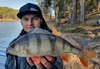 Przynęta PERCH PROFESSOR F**king Leech 2,75"/7cm - #06 Cheese - 8 szt.