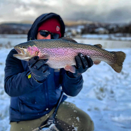 Przynęta Libra Lures Goliath 3cm | 017 - Bubble Gum | brak zapachu | 15 szt.